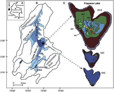 Long-Term Habitat Degradation Drives Neotropical Macrophyte Species Loss While Assisting the Spread of Invasive Plant Species